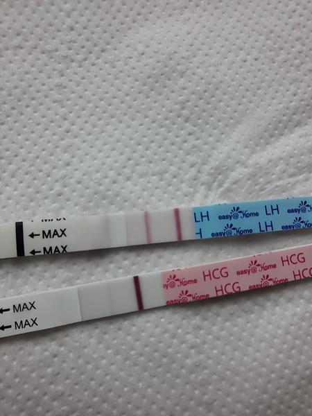 Je duch na testu 4 dny po KET dobré znamení?