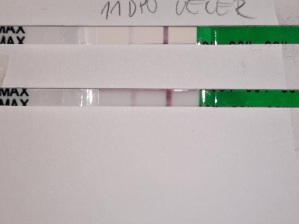 Ovlivní různá značka testu jeho sílení?