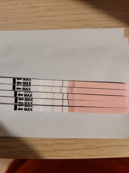 Je poslední ovulační test opět pozitivní?