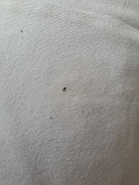 Tričko ariel malá mořská víla, reserved,146