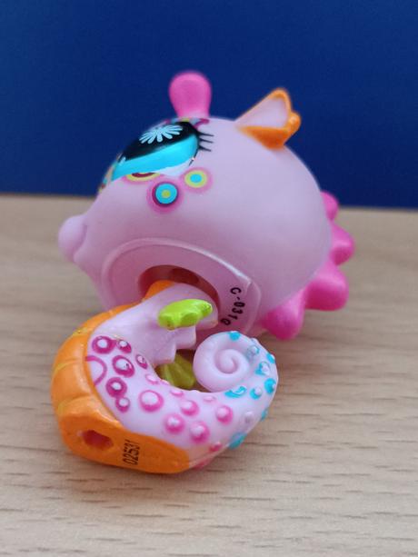 Lps mořský koník zdobený, 