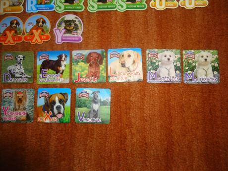 Magnety kostíci pejsci, 