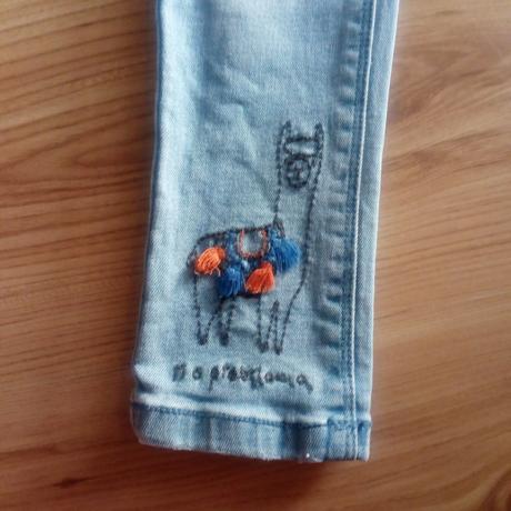 Dziny s lamou next, next,110