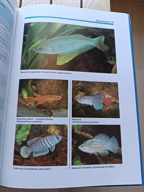 Kniha sladkovodní akvárium - hans j. mayland,