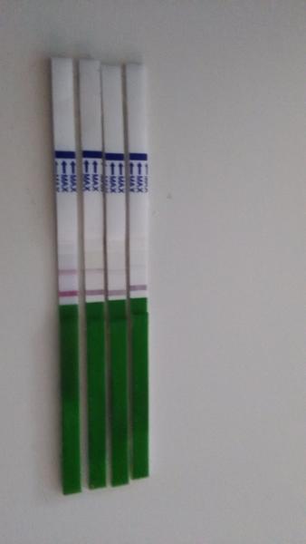 Probíhá už ovulace?