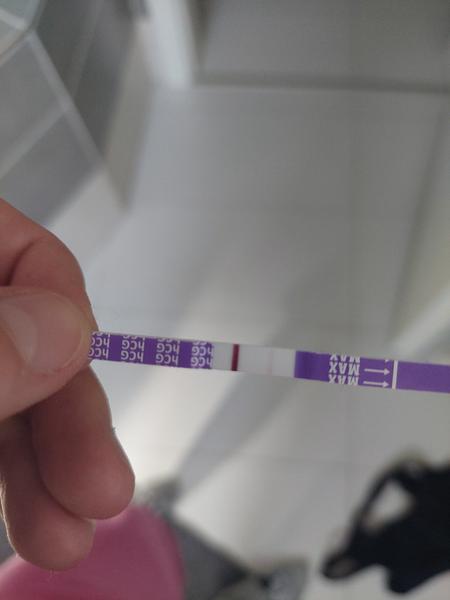 Je tam čárka? Po 4 letech snažení...