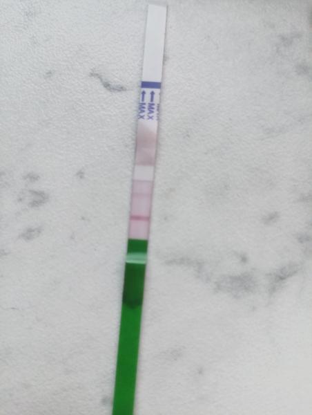 Je váš ovulační test spolehlivý? Zjistěte více nyní