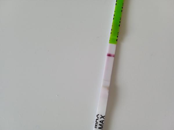 Těhotenský test Pepino. Je vidět slabá čárka?