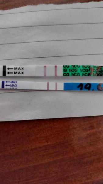 Jak poznat falešný těhotenský test?