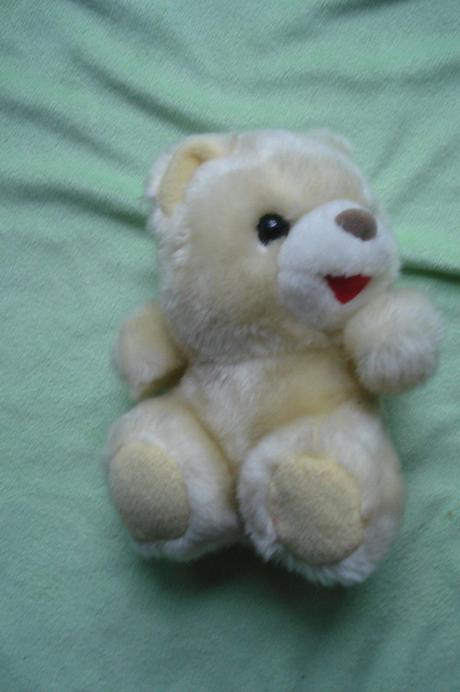 Plyšový medvídek,