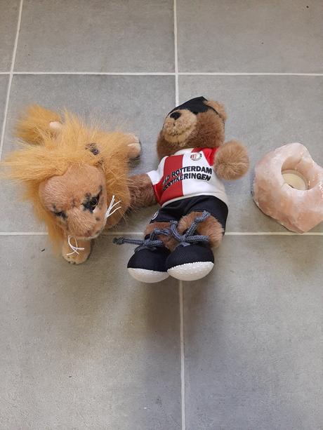 Plyšáci-lev a medvěd rotterdam, 