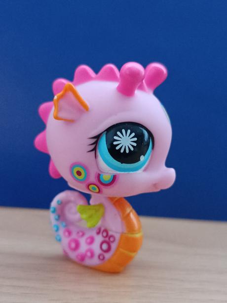 Lps mořský koník zdobený, 