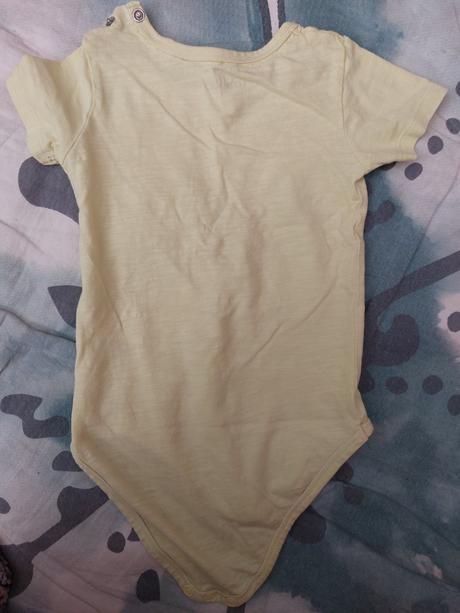 Body 80, reserved,80