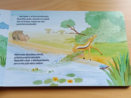 Leporelo pro děti sluneční hroch oranžoch, 