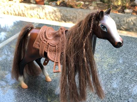 Hnedy kun pro panenky, 