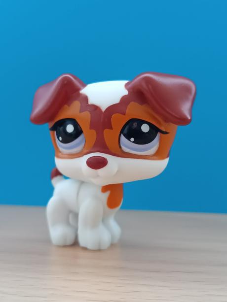 Lps pejsek jack russell teriér,