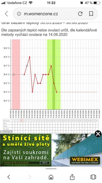 Ovulační test. Blíží se ovulace?