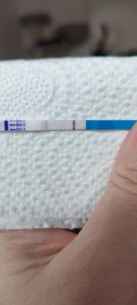 Nechráněný styk během ovulace. Co si myslíte o výsledcích testu?