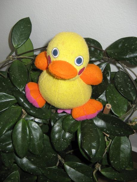 Kačena-interaktívní hračka,