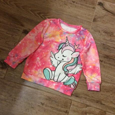 Mikina s jednorožcem, 104