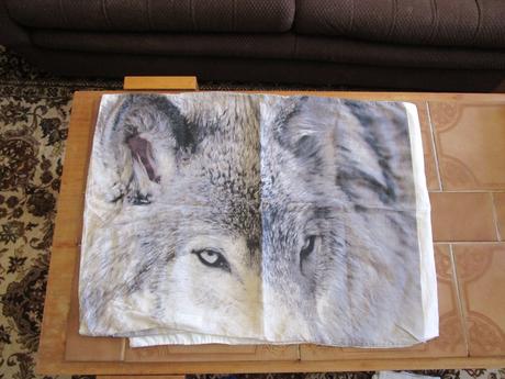 Pěkný bavl. polštář s oboustranným potiskem, 