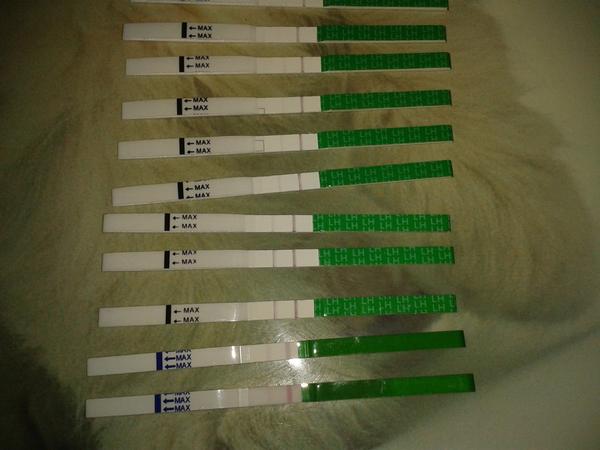 Kdy byla nebo je ovulace?