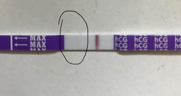 Test. Vidíte tam něco (č. 2)? 😺