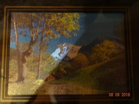 Obraz příroda a stromy, 