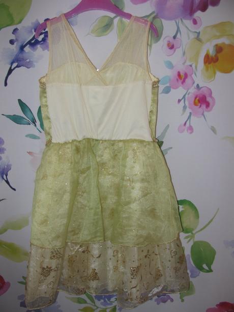 Karnevalové elegantní šaty-princezna tiana, 