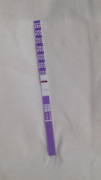 Jsem 5 dní po termínu. Jsem těhotná?