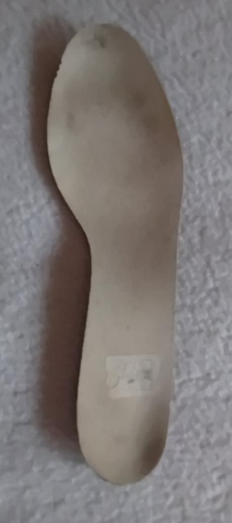 Zimní brusle, 41