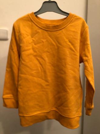 Hořčicová mikina s dinem, 110