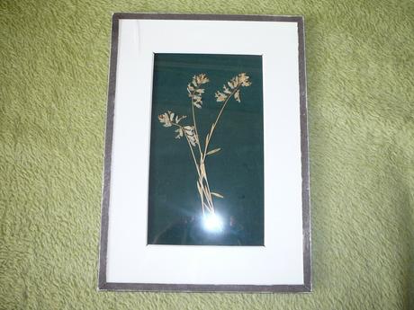 Obraz ze sušených rostlin, 