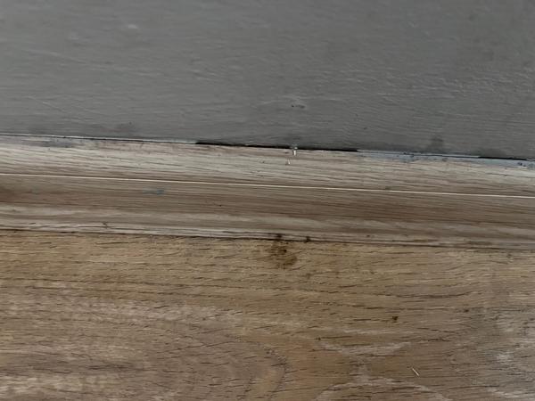 Jak odstranit plíseň za postelí v pronajatém domě?