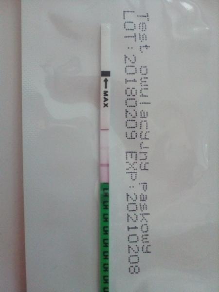 Co myslíte? Jsem těhotná?