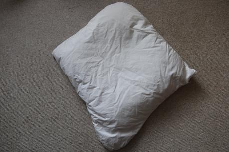 Péřová zavinovačka dráček, 