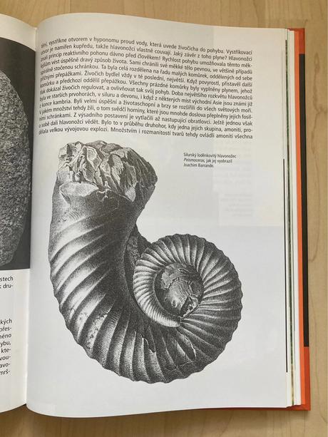 Jak se loví dinosauři aneb co nevíte o historii...,