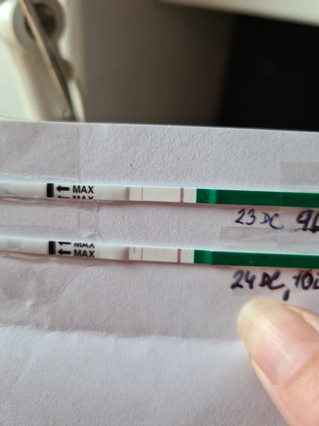 9-10 dní po ovulaci. Vidíte něco na testu?