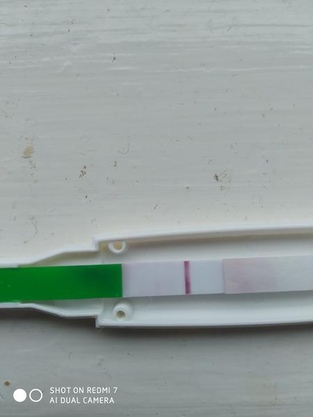 Vidíte na testu něco podezřelého? Diskuse o těhotenství