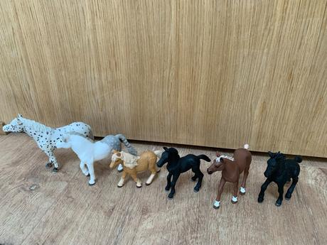 Sada koníkov, bábik jazdkýň a časopisov,