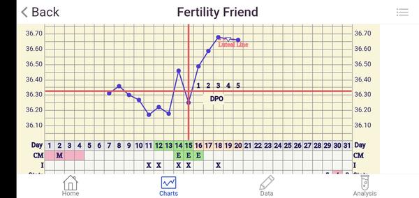 Graf Bt. Myslíte, že ovulka už proběhla?