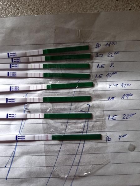 Pozitivní ovulační test. Jak určit správnou ovulaci?