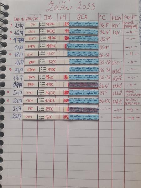 Kdy je ideální načasovat sex podle LH hodnoty?