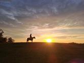 Trocha podzimního kýče od nás ☀️🐴
I když podzim nepatří mezi mé oblíbené období, tak třeba si ho jednou zamiluju….

