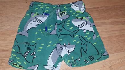 Kratase se žraloky 92 george, george,92