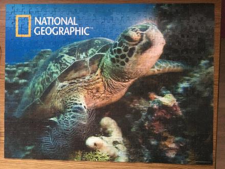 3d efect - želva - 500 dílků,