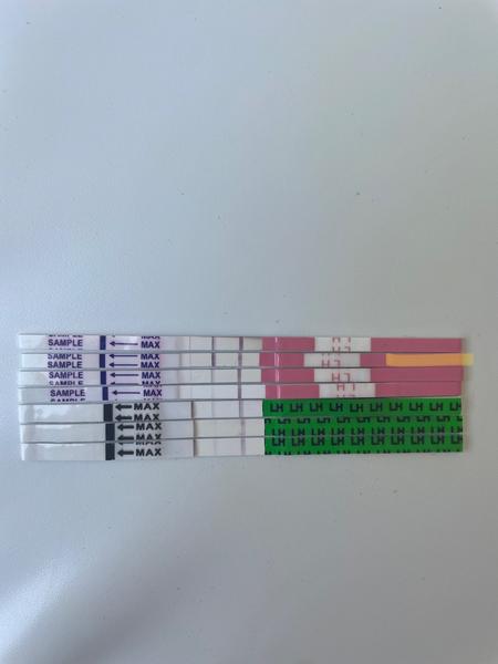 Proběhla ovulace? Jak správně použít ovulační testy?