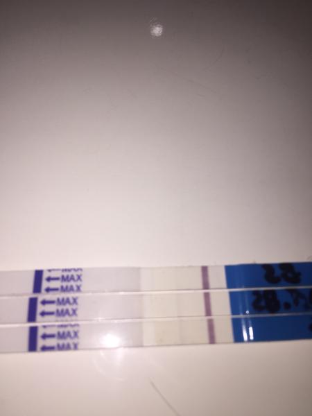 Zadařilo se? 10dpo