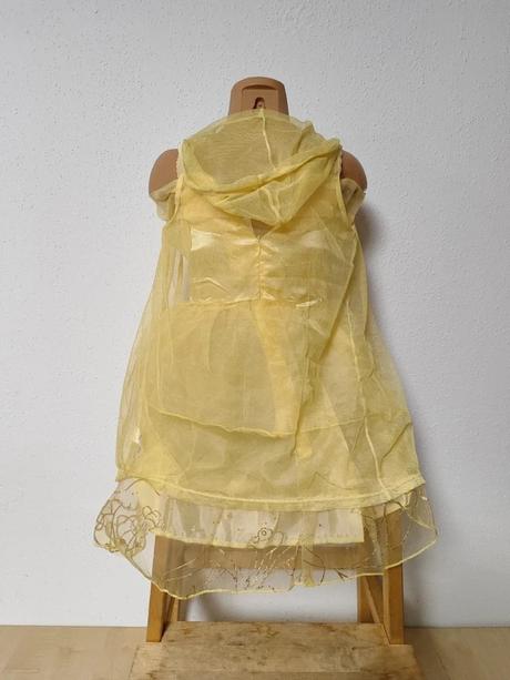 Kráska a zvíře, princezna, 