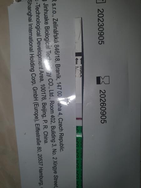 Je těhotenský test pozitivní, nebo mám halucinace?